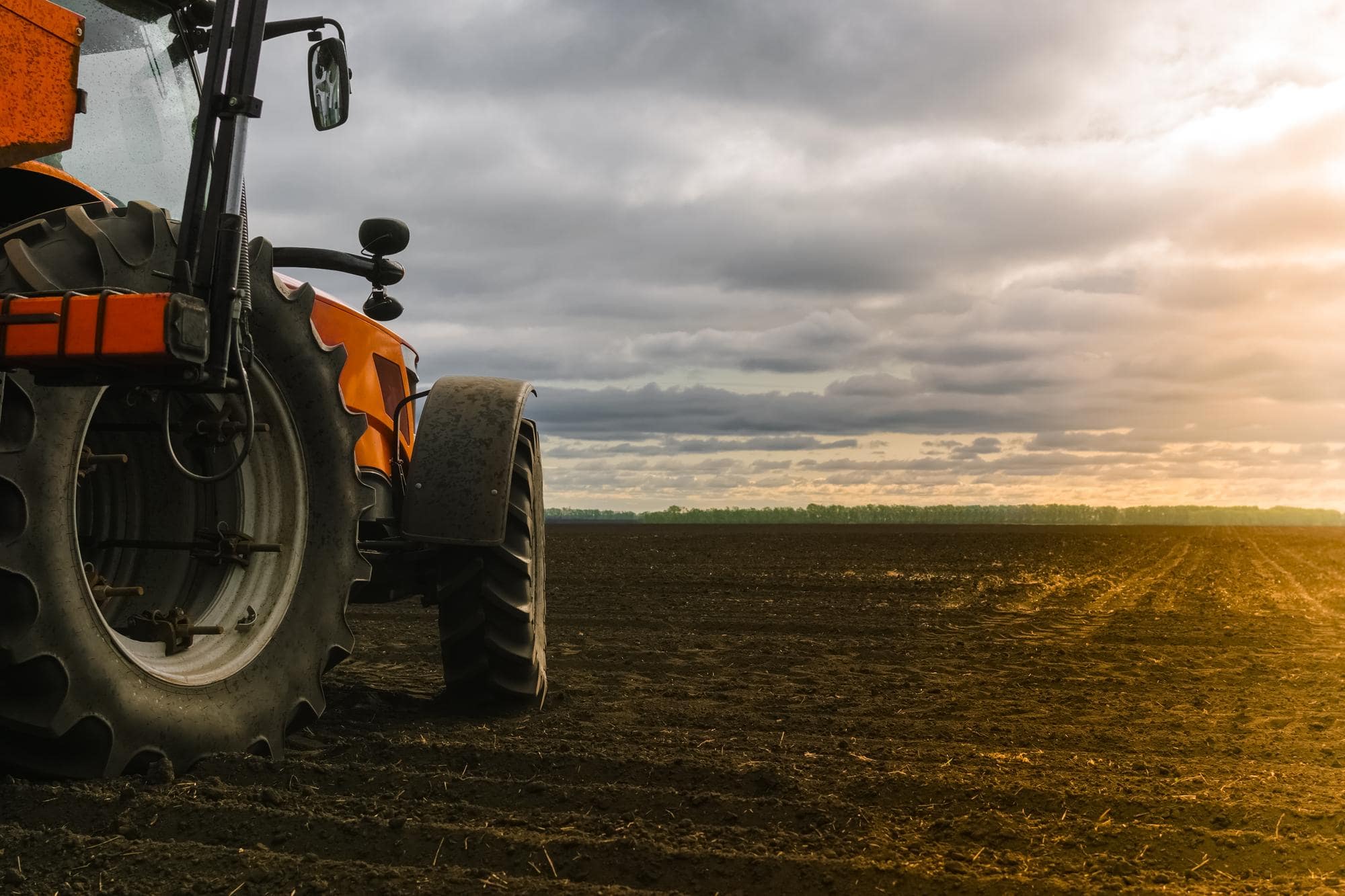 Préparation et finition des sols pour plantations à Narbonne